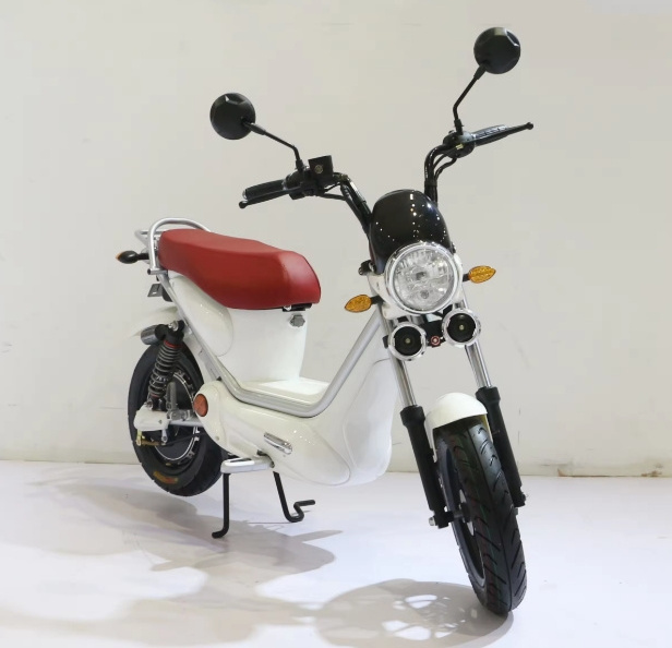 2024 Hot sale three wheel electric motorcycle EEC COC 1000w tricycle bicycle sidecar for adults electric ciytcoco pets scooter