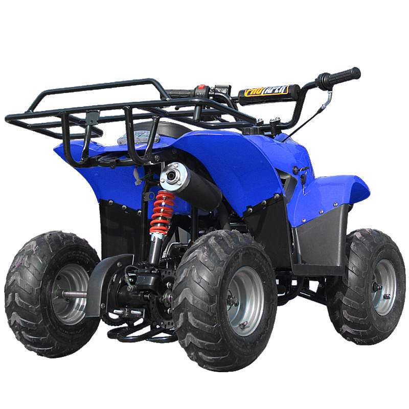 110cc 4 Wheeler Atv For Adults Atv With Epa Hummer Automatic chain 125cc Racing Motorcycles