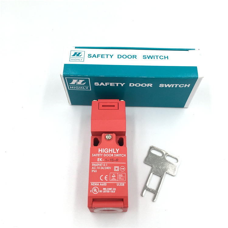 Professional Interlocking Safety Switch Types Electrical Door Lock Limit Switch