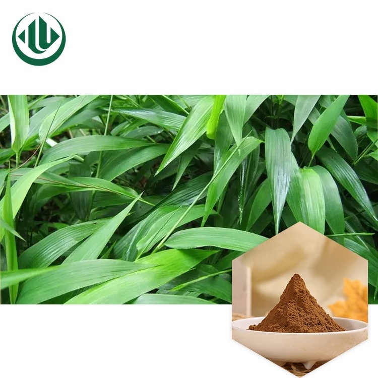 Hot Selling Product Bamboo Extract Powdered Extract Lophatherum Herb Extract 10:1