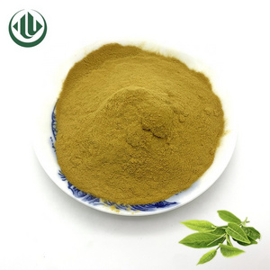 Customization Instant Green Tea L Theanine Extract Oil Soluble For Flat Stomach Instant Green Tea Powder