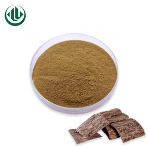 Factory Price Wholesale Eucommia Leaf Male Flower Of Ulmoides Leaves Extract Powder Eucommia Extract For 100% Safety