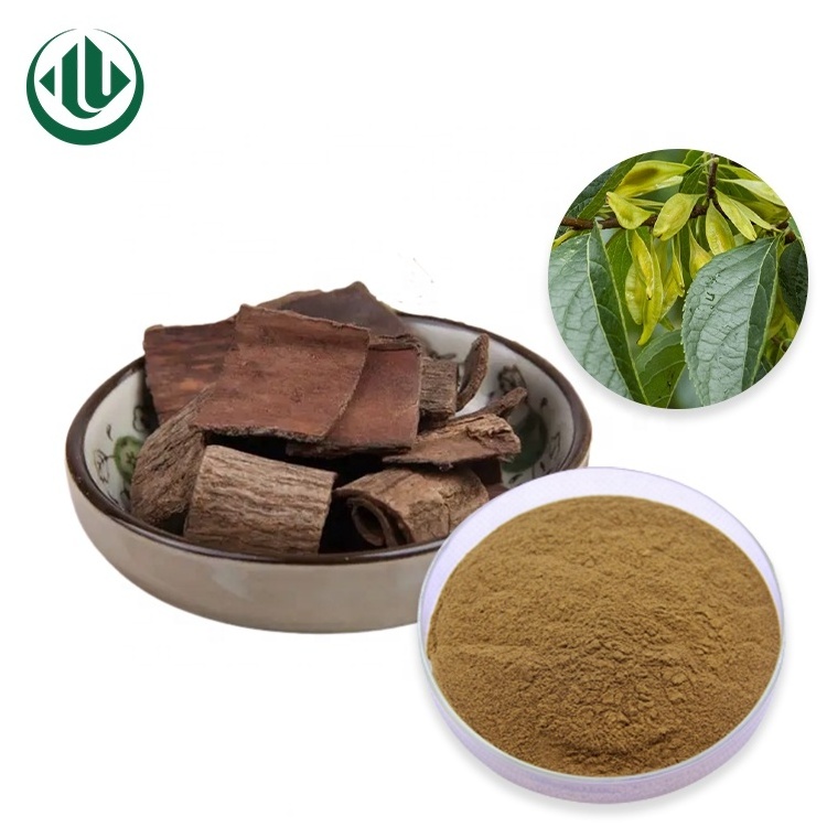 Factory Price Wholesale Eucommia Leaf Male Flower Of Ulmoides Leaves Extract Powder Eucommia Extract For 100% Safety