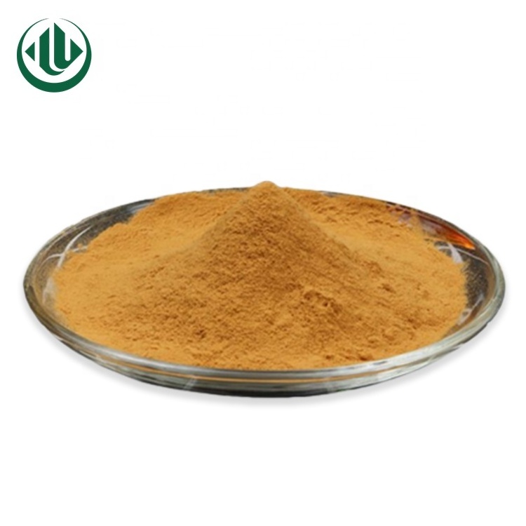 100% Natural Green Tea Leaves Extract Powder Instant Best EGCG Green Tea 10:1 Extract Powder