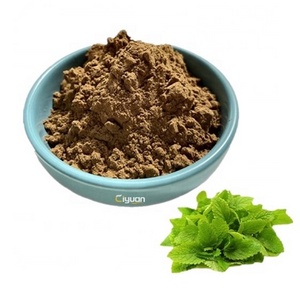 Ciyuan Factory Supply Wholesale Price Lemon Balm / Melissa Officinalis Leaf Extract Powder Rosmarinic Acid