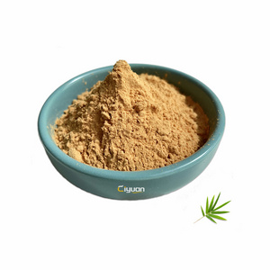 Ciyuan Factory Supplier Wholesale Price natural Bamboo Leaf Extract Powder