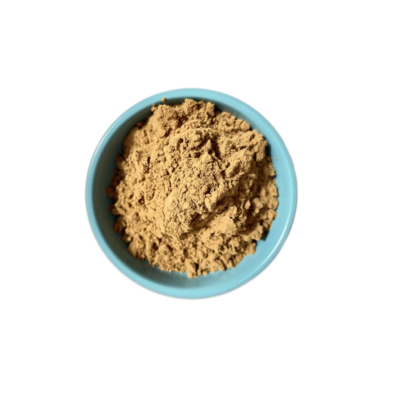 Factory Supplier Natural Pure Chaga Mushroom Extract Betula Pilose Powder 10%-50% Polysaccharide