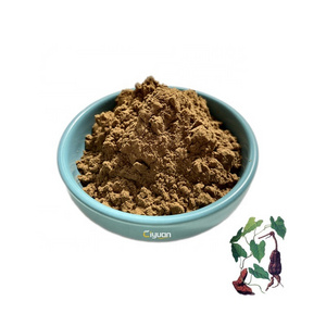 Natural Polygonum Multiflorum Extract Tuber Fleeceflower Root(HE SHOU WU) Powder For Black Hair Shampoo