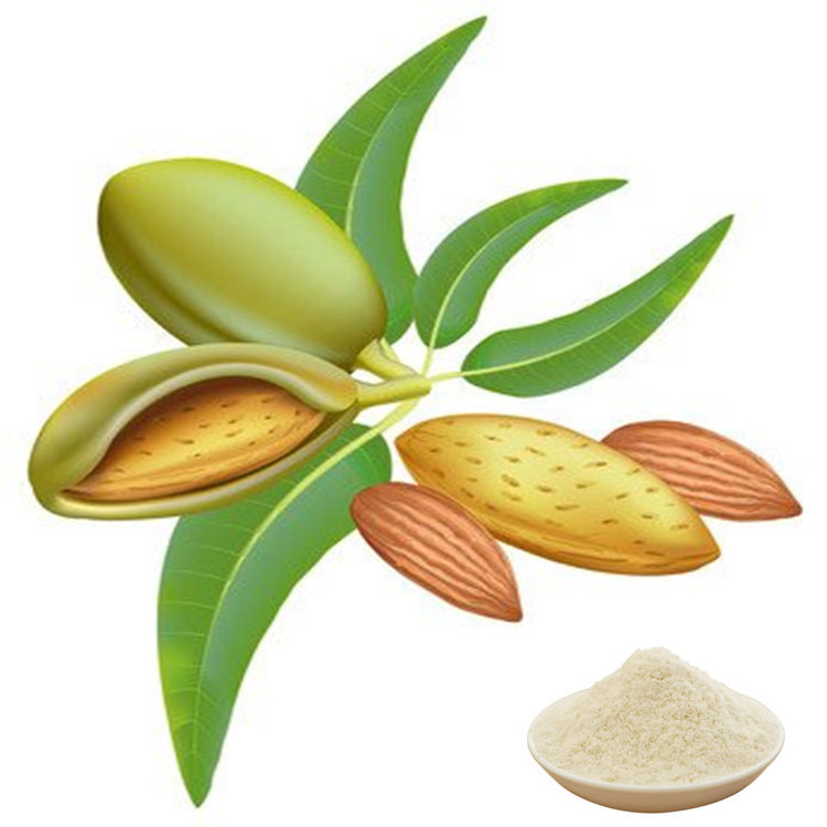 Hot Selling Pure Almond Flour Straight Powder Wholesale Organic Almond Flour Powder