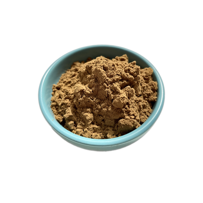 Factory Supplier Natural Pure Chaga Mushroom Extract Betula Pilose Powder 10%-50% Polysaccharide