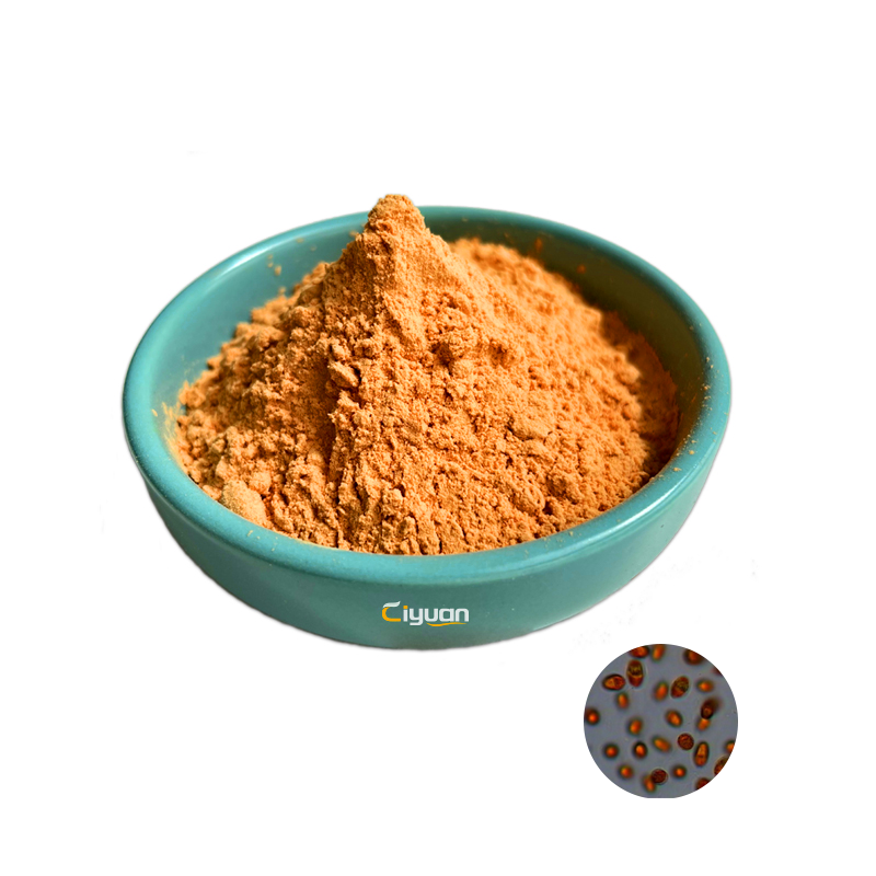 Hot selling Salt alga extract food pigment beta carotene 10% 20%dunaliella salina extract powder