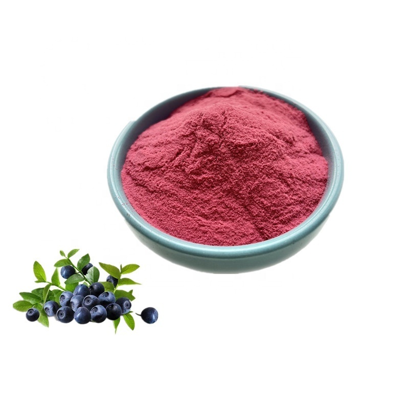 ISO Factory High Quality Aronia Fruit Powder Aronia Berry Powder