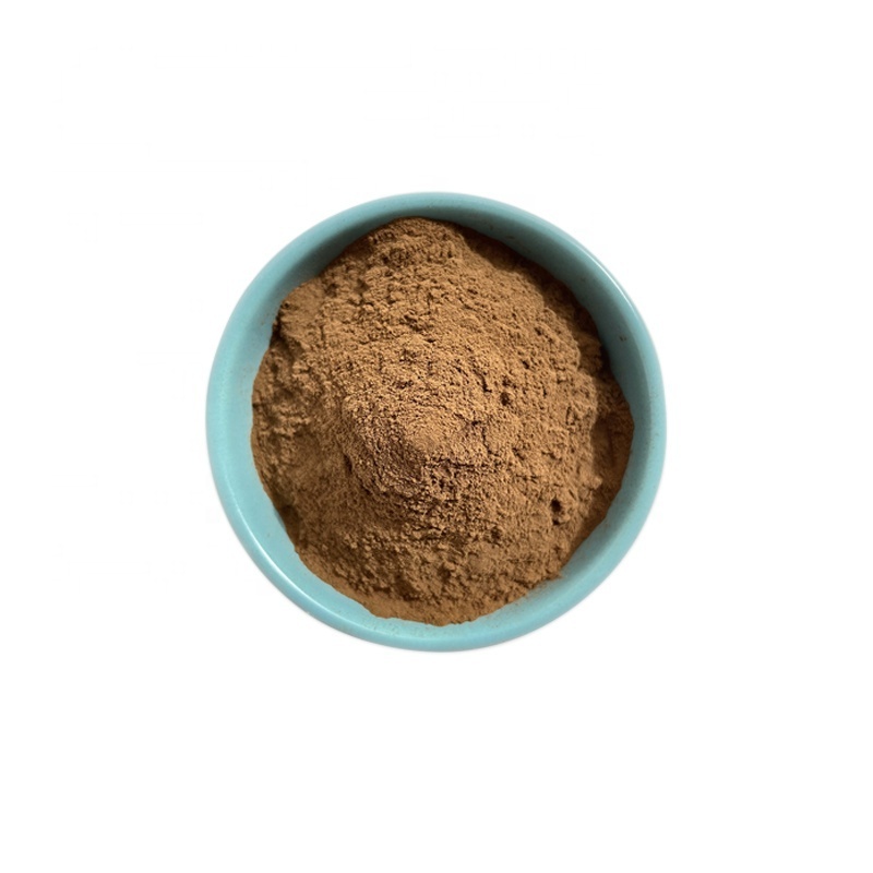 Ciyuan Factory Supply Wholesale Price Lemon Balm / Melissa Officinalis Leaf Extract Powder Rosmarinic Acid