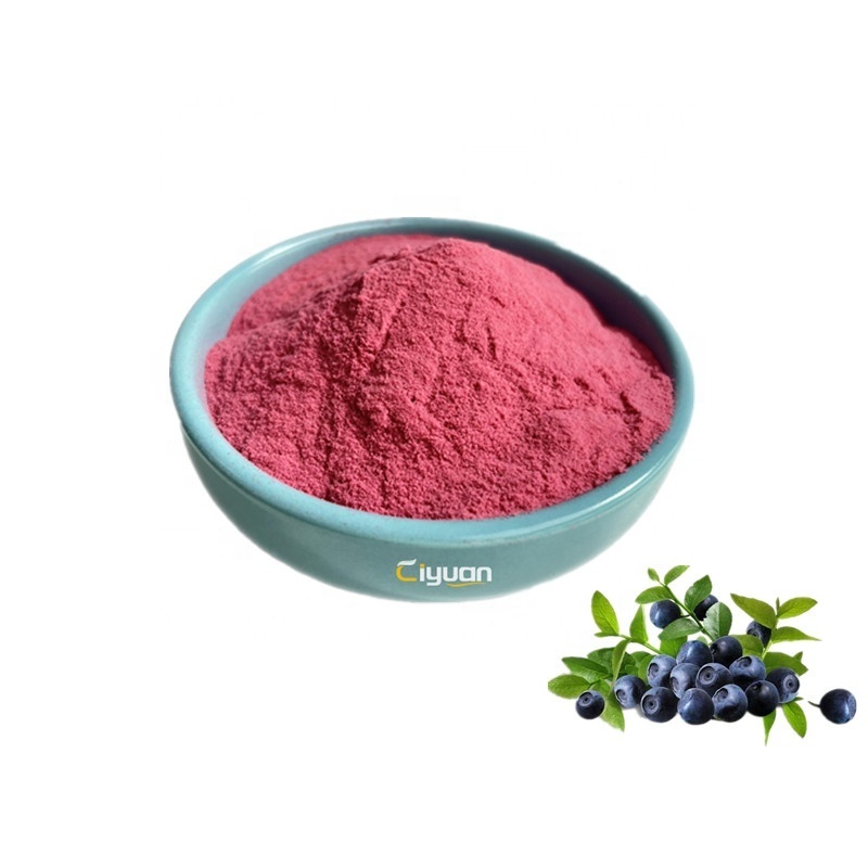 ISO Factory High Quality Aronia Fruit Powder Aronia Berry Powder