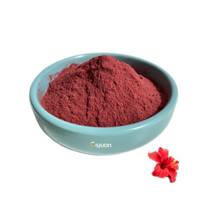 Top Sale Natural Hibiscus Flower Roselle Calyx Extract Rose eggplant powder