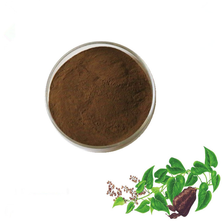 Natural Polygonum Multiflorum Extract Tuber Fleeceflower Root(HE SHOU WU) Powder For Black Hair Shampoo