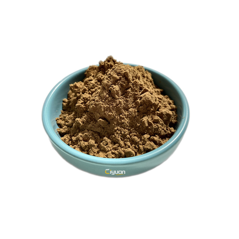 Factory Supplier Natural Pure Chaga Mushroom Extract Betula Pilose Powder 10%-50% Polysaccharide