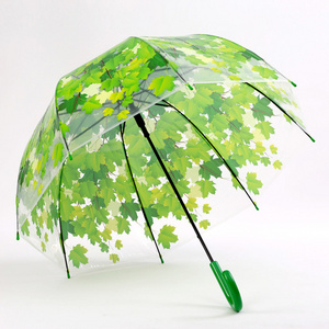 POE small fresh long handle paint creative Maple Leaf Apollo transparent umbrella