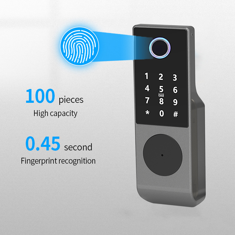 Waterproof Outdoor Gate Door Electronic Fingerprint Door Lock Smart Electric Rim Lock