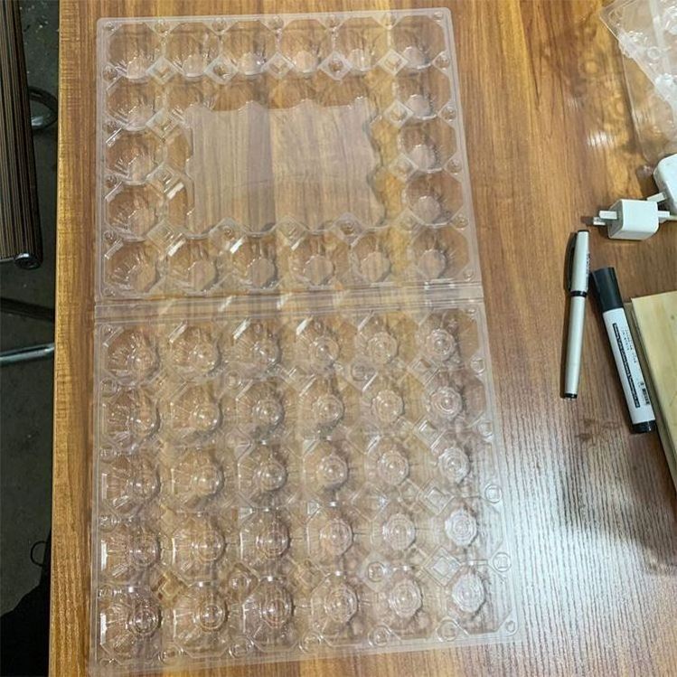 YL Wholesale transparent PVC/PET plastic quail egg carton box tray packaging with 12 holes