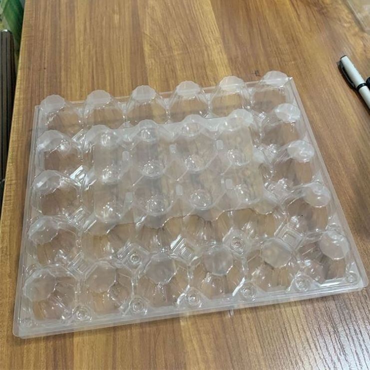 YL Wholesale transparent PVC/PET plastic quail egg carton box tray packaging with 12 holes