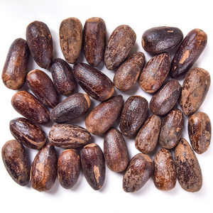 Wholesale Factory Price Long Semen Myristicae Nuts Dry Spices Seasoning Dried Whole Nutmeg with Shell