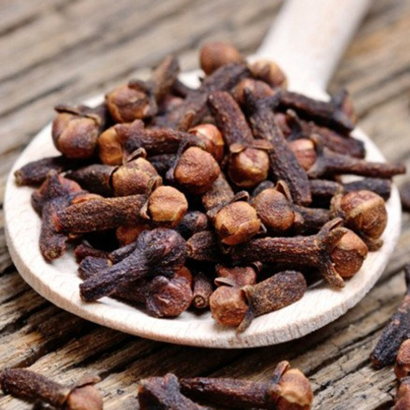 TONGJIN Supply Hot Selling Single Spices&Herbs High Quality Indonesia Dried Clove