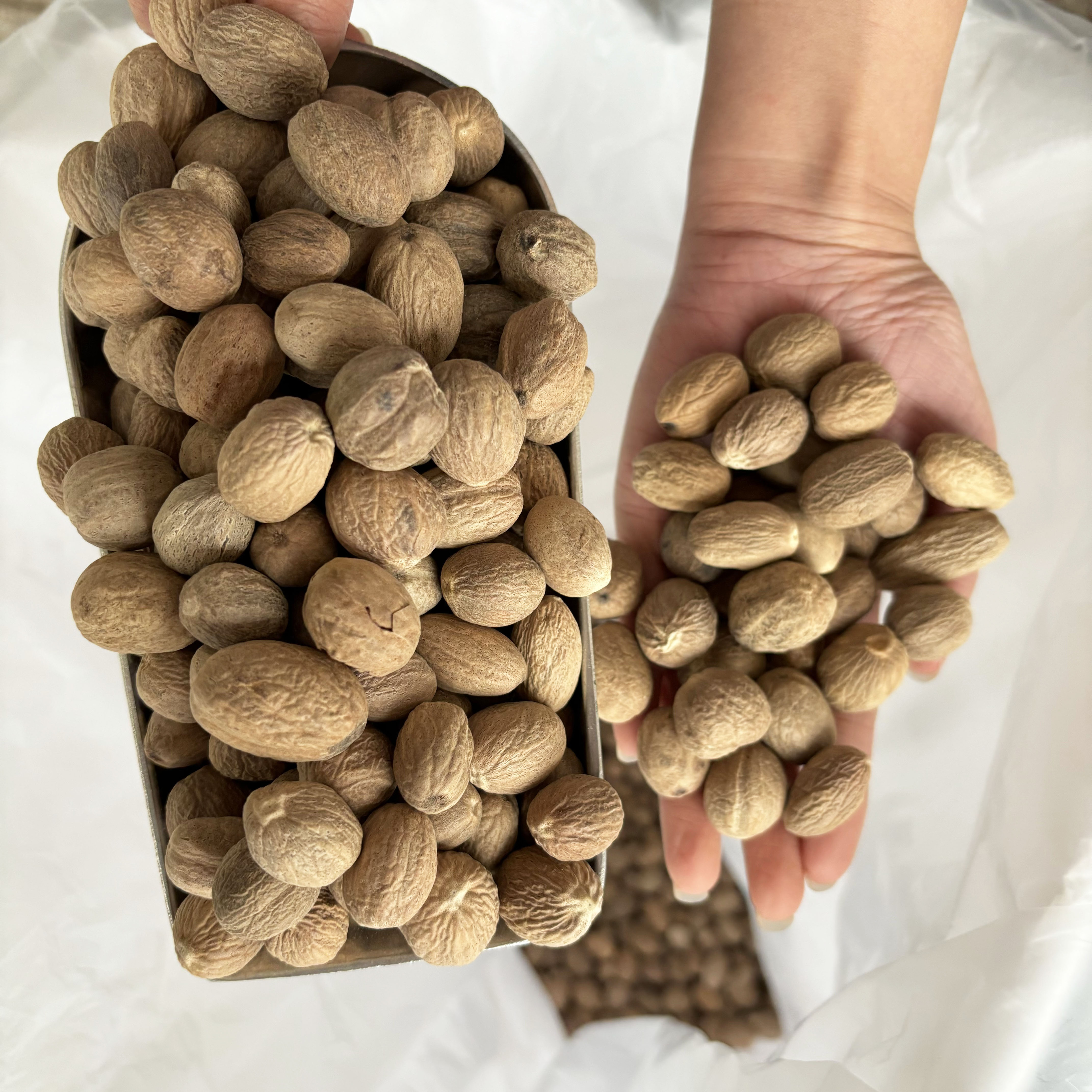 Customized Wholesale Muscade High Quality Whole Without Shell Organic Dried Nutmeg