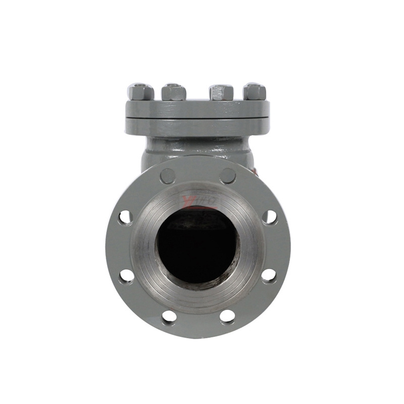 Highly Durable high temperature ANSI 150LB 304 316 JIS 10K 1.6mpa WCB H41W Non-return NRV Lift Flanged Check Valve