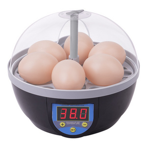 New type High hatching rate six eggs incubator for chicken duck Small home incubator for chicken and duck eggs