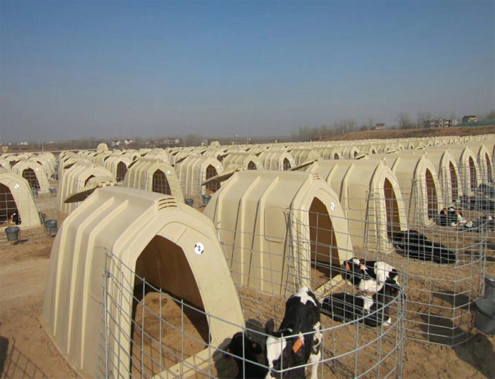 Calf Hutch Cattle Equipment Durable PP Calves Hutch Fence Calf Hutches For Cattle Dairy