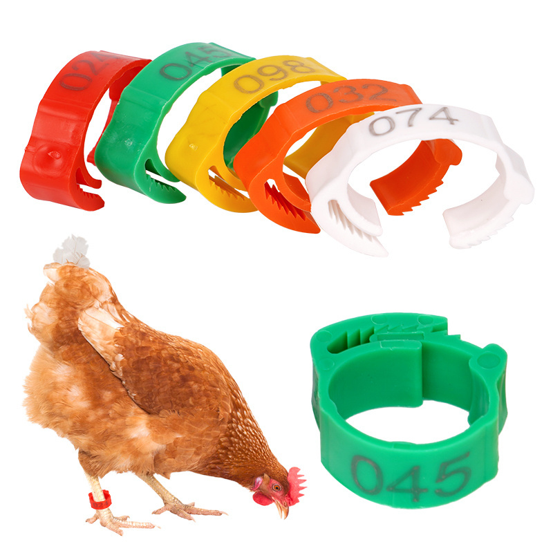 Multi Color Adjustable Poultry chicken Duck Leg Rings Poultry Flexible Foot Rings Digital Number Buckle Ring