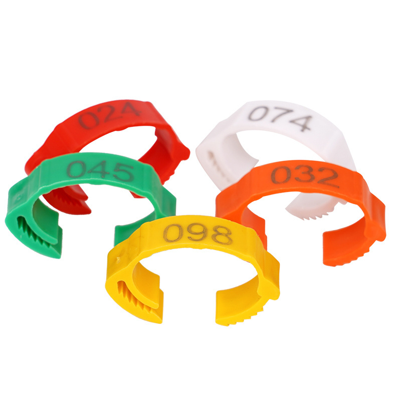 Multi Color Adjustable Poultry chicken Duck Leg Rings Poultry Flexible Foot Rings Digital Number Buckle Ring