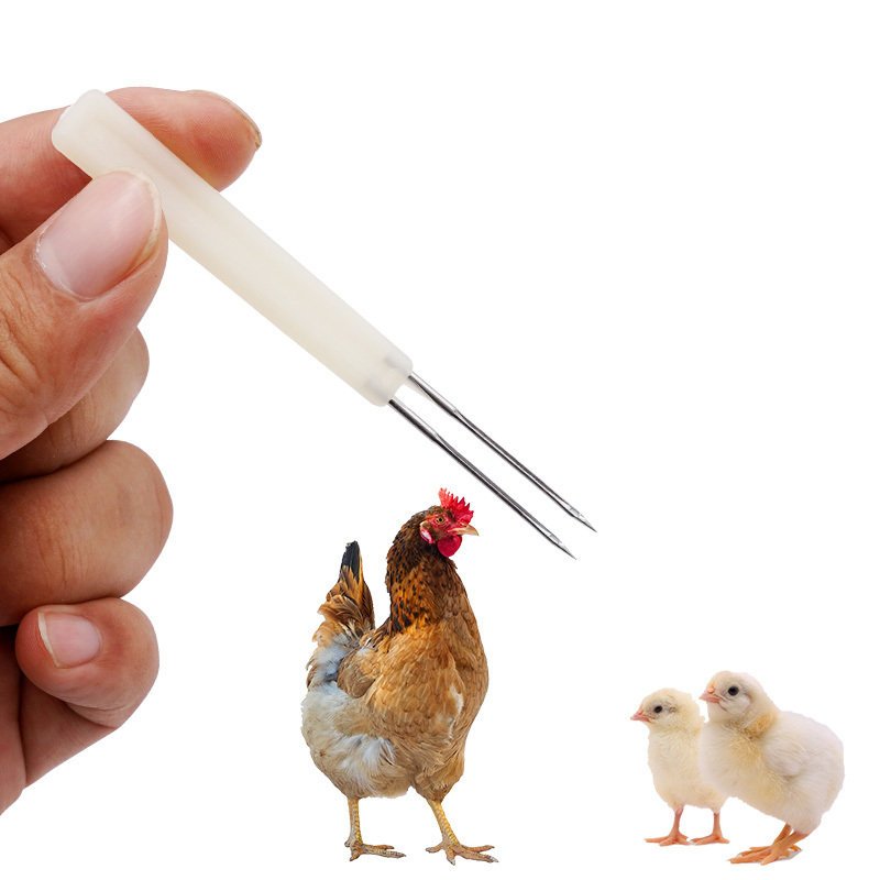 Manual Avian Pox Syringe Easy Operation Double Needle Fowl Pox Needle for Chicken Duck Pigeon Bird