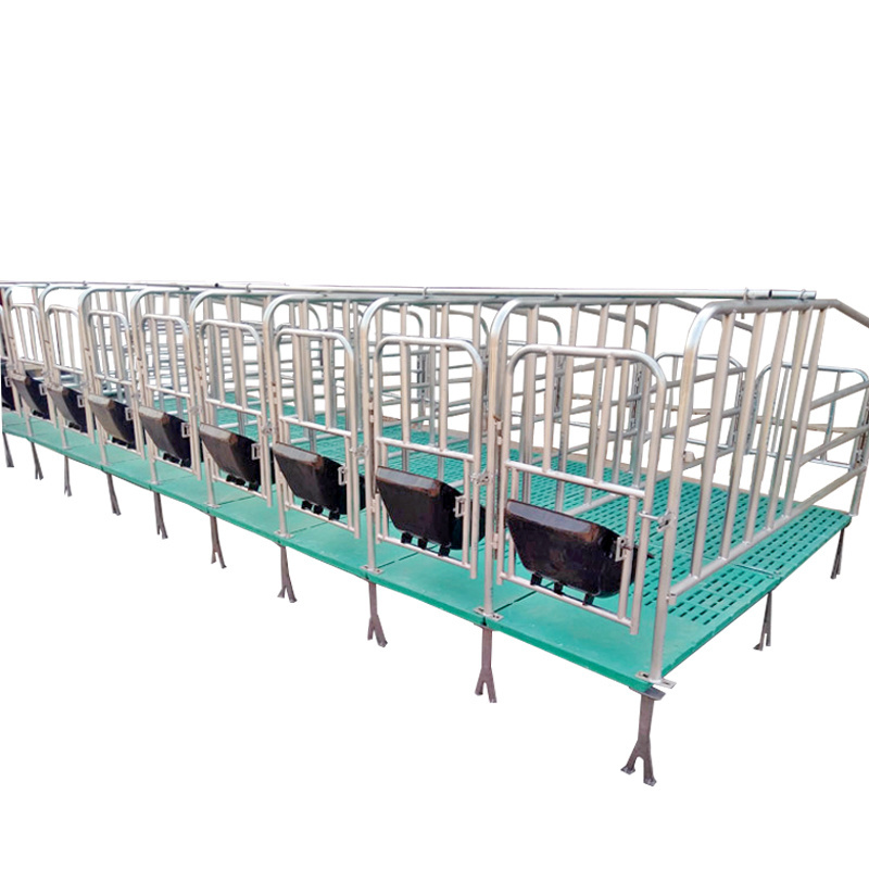 Fattening Pig Stalls Limit Bar Sow Gestation Pen With Feeder For Pig House