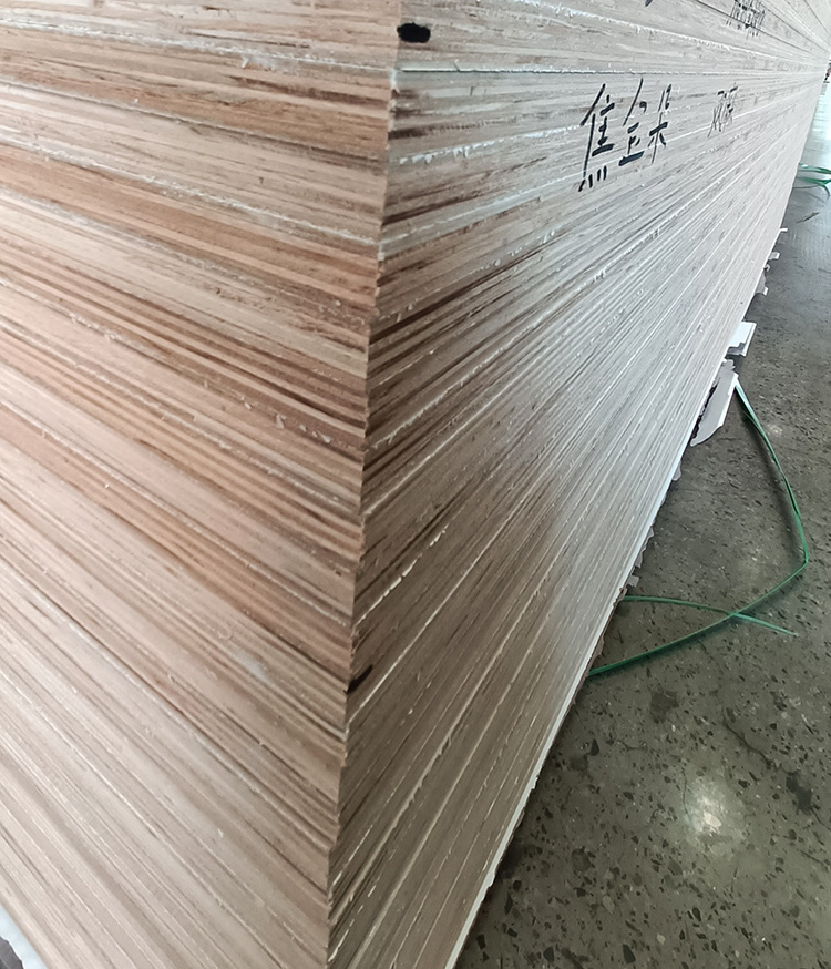 Professional Glue Syply Formica Laminated Plywood Contre Plaquet Plywood Bangladesh Modern Melamine Paper Indoor Birch CN;HEN E0