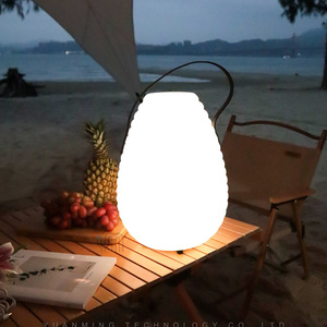 Outdoor Waterproof Portable Lantern Lamp USB Rechargeable 2000mAh Battery Light Dimmable LED LAMP