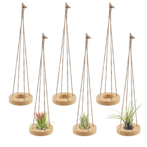 Wooden shelf 6 Pcs Hanging Wooden Air Plant Holder - 3.1" Round Pine Wood Air Plant Hanger with Jute Ropes Air Plant Holder