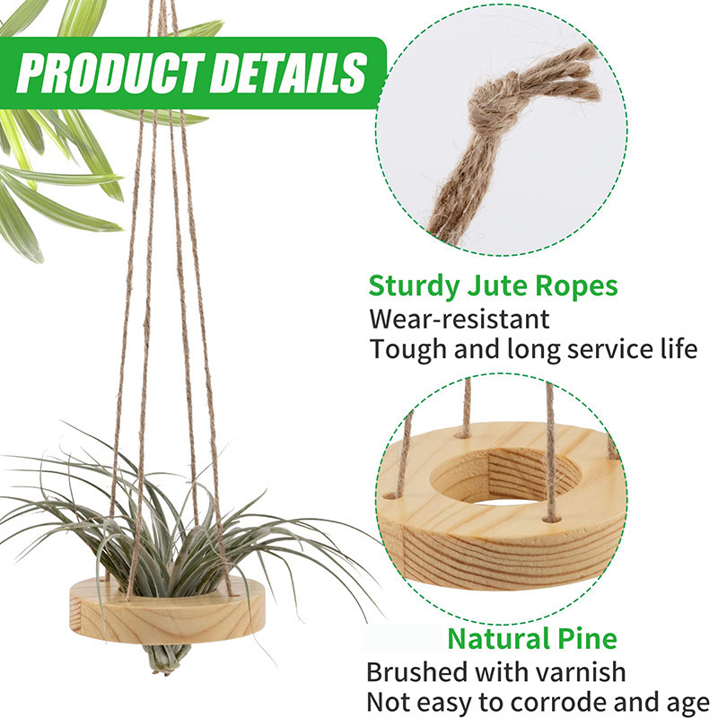 Wooden shelf 6 Pcs Hanging Wooden Air Plant Holder - 3.1