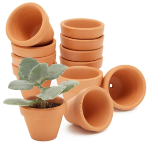 Naturix Customized 1-7 Inch Mini Clay Terracotta Pot Succulent Decorative Flower Plant Indoor Outdoor Low MOQ Garden Application