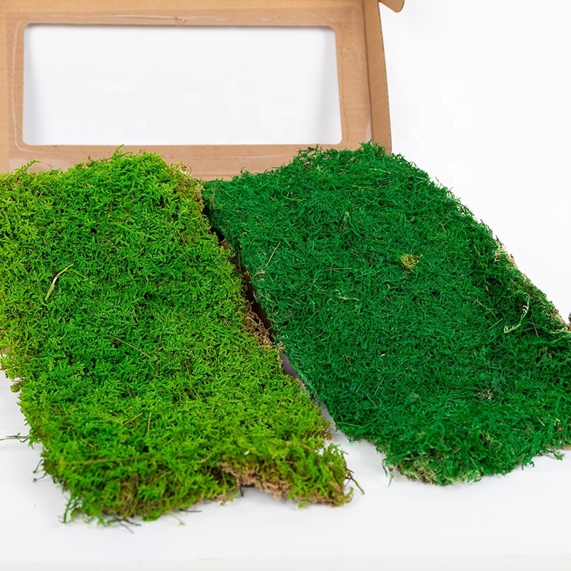 Wholesale Stabilize Reindeer Moss Wall Art Moss Panel Decorations Preserved Moss Panel for Home Decoration