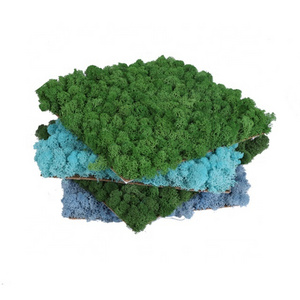 Wholesale Stabilize Reindeer Moss Wall Art Moss Panel Decorations Preserved Moss Panel for Home Decoration