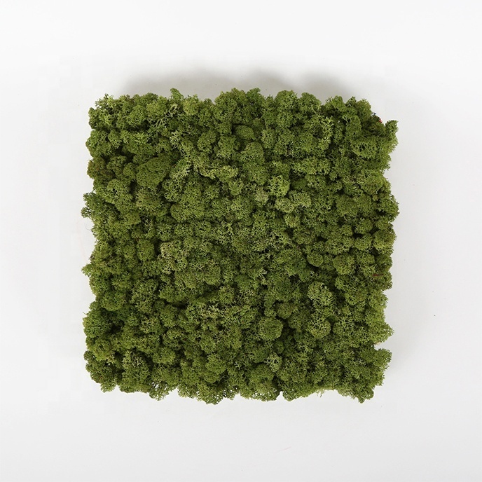 wall decoration green artificial preserved moss panel