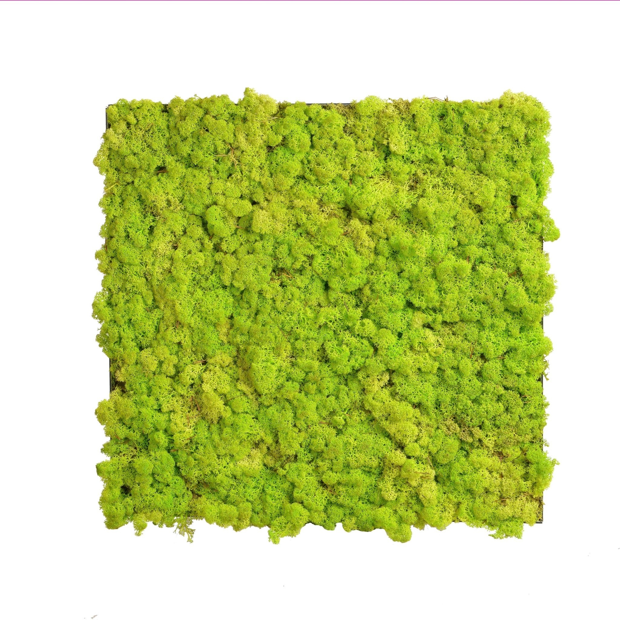 wall decoration green artificial preserved moss panel