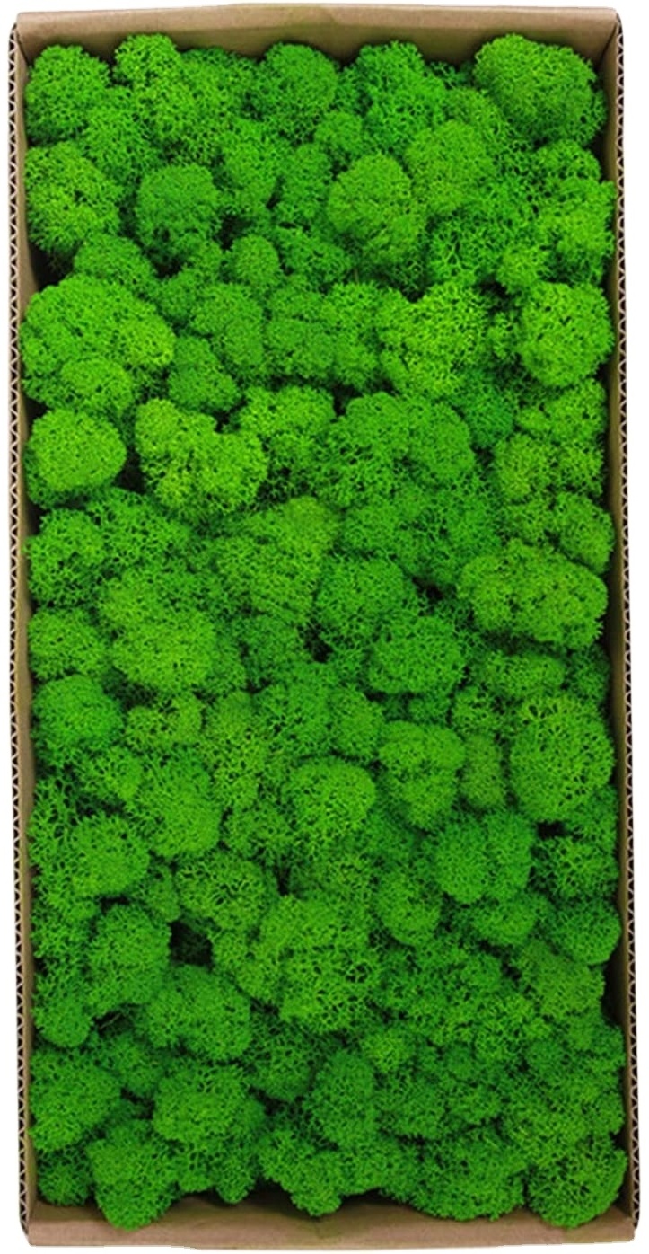 Wholesale Stabilize Reindeer Moss Wall Art Moss Panel Decorations Preserved Moss Panel for Home Decoration