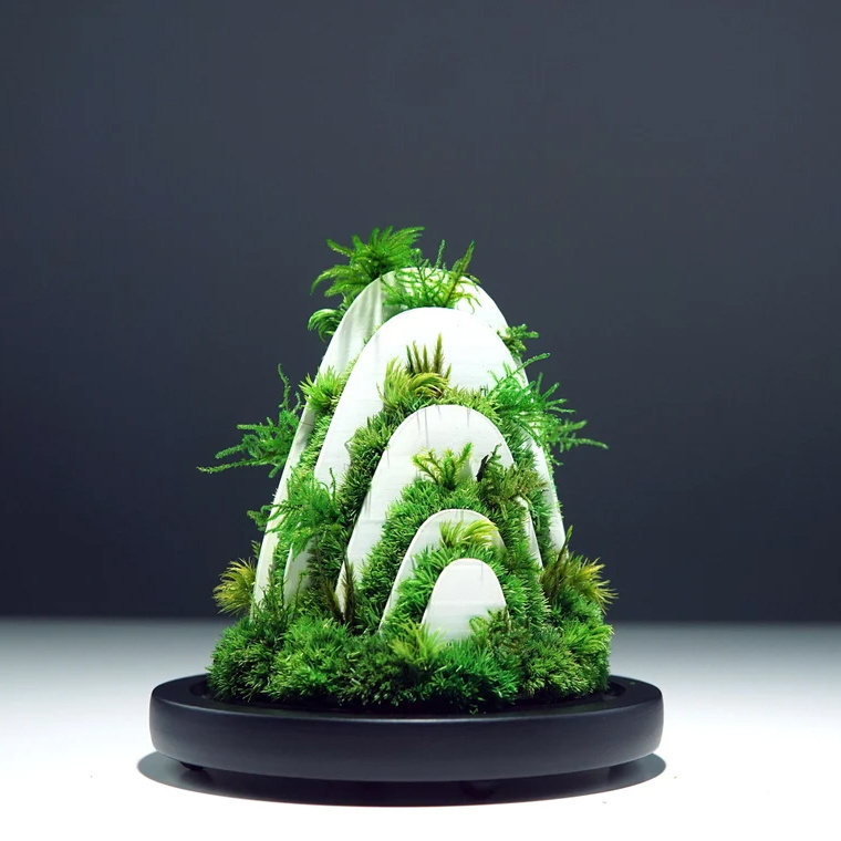 Wholesale price best selling real moss preserved moss for green wall decoration naturally