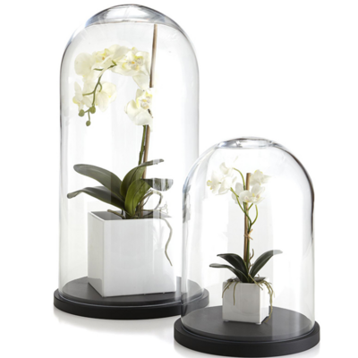 Tabletop Centerpiece Cloche Bell Jar Display Case Black MDF Base Decorative Clear Glass Dome