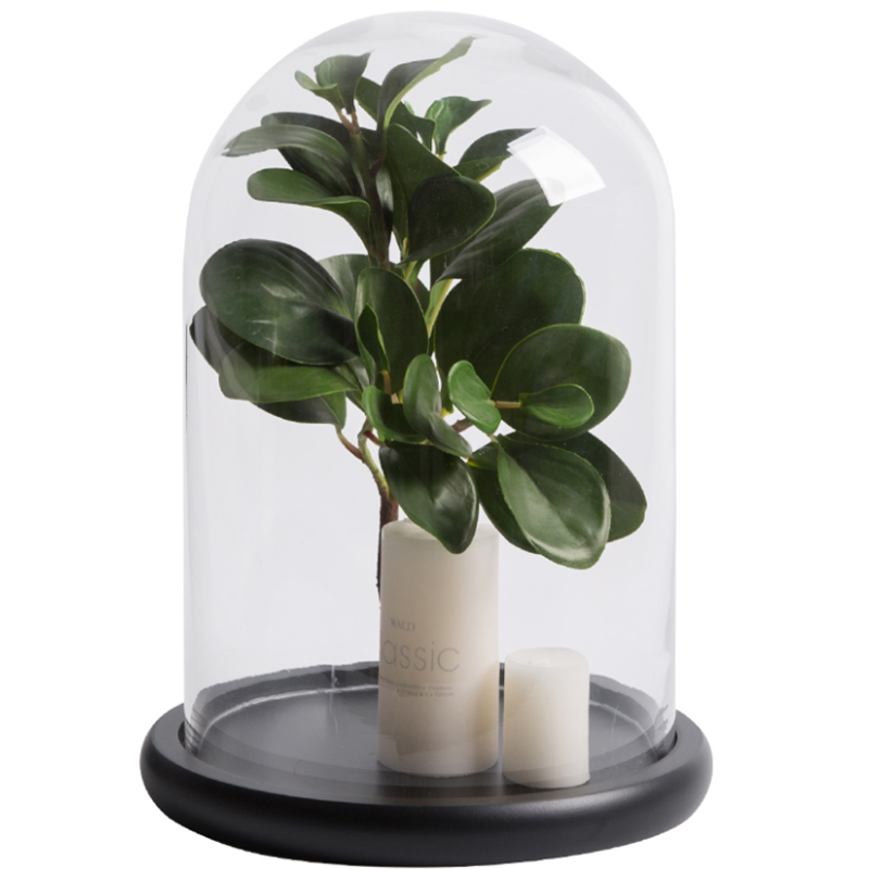 Tabletop Centerpiece Cloche Bell Jar Display Case Black MDF Base Decorative Clear Glass Dome