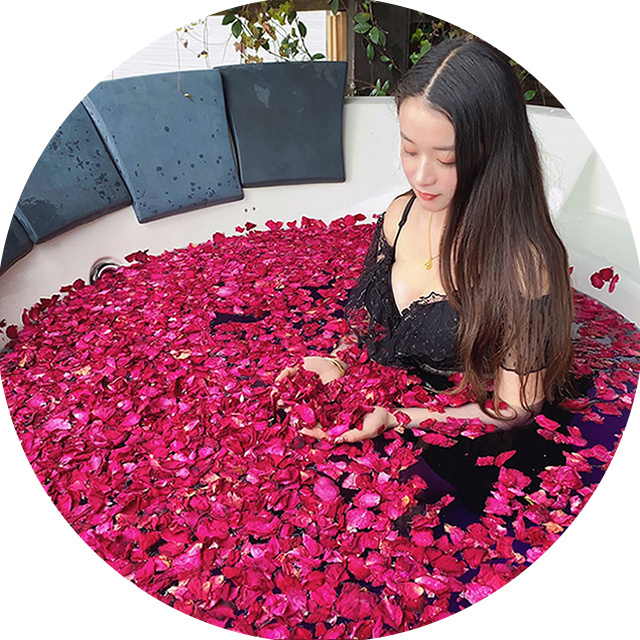 Wholesale Natural Dried Red Rose Petals Biodegradable Confetti for Bath & Wedding Real Lavender Type for Home & Christmas