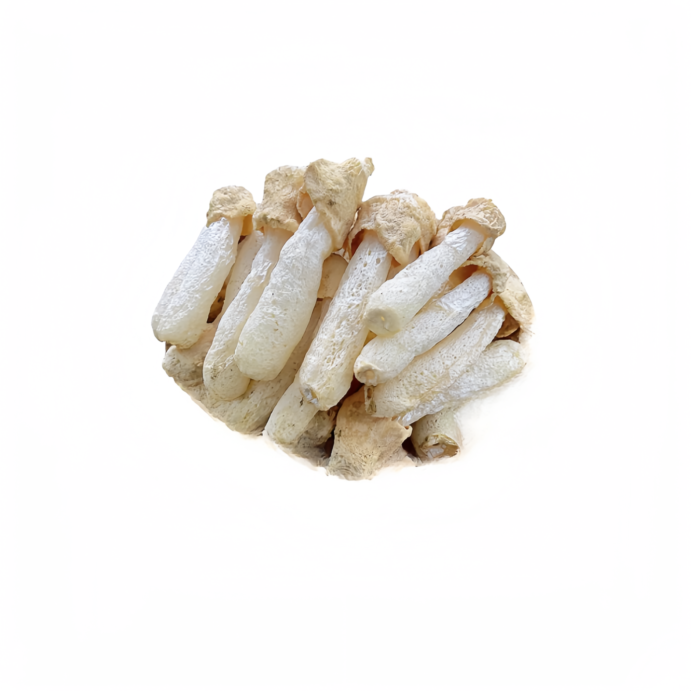 Wholesale quality dried dictyophora mushrooms